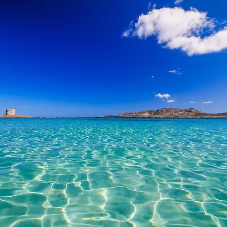 Дом отдыха Punta Negra Holyday Стинтино